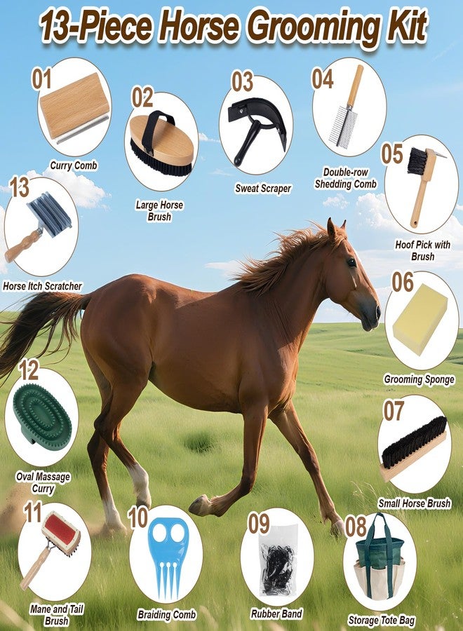 DigNew 13-Piece Horse Grooming kit for Daily Care,Complete Horse Supplies Set with Wood Brushes, Tack Essentials, Curry Tools, and Practical Horse Accessories for Farm & Stable Use - Image 2